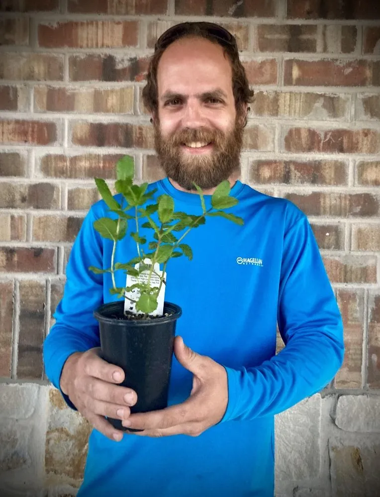 Local lawn care service for year-round maintenance in Anna, TX by Anna Mowing and Landscapes