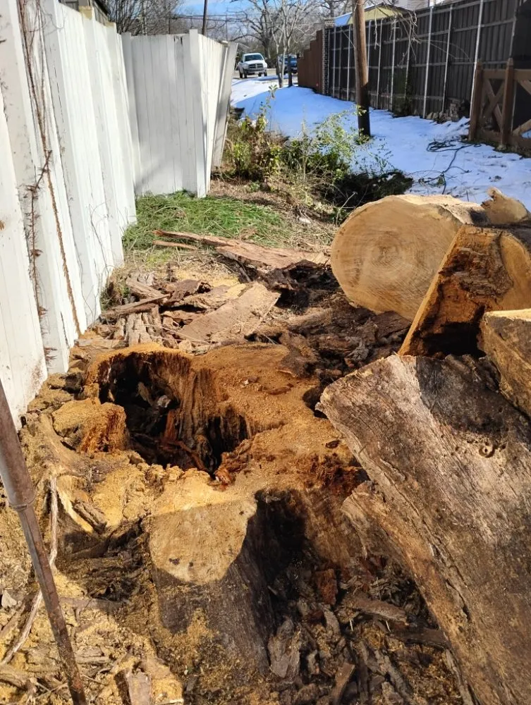 Affordable yard cleanup service in Anna, TX by Anna Mowing and Landscapes