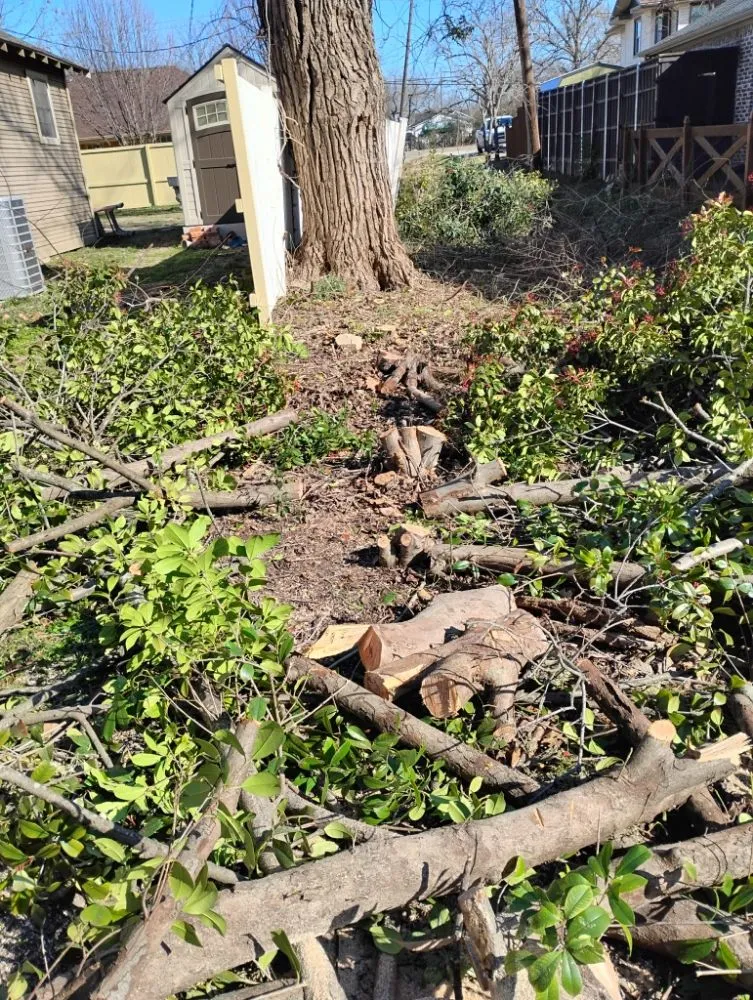 Affordable residential landscaping experts serving Anna, TX - Anna Mowing and Landscapes