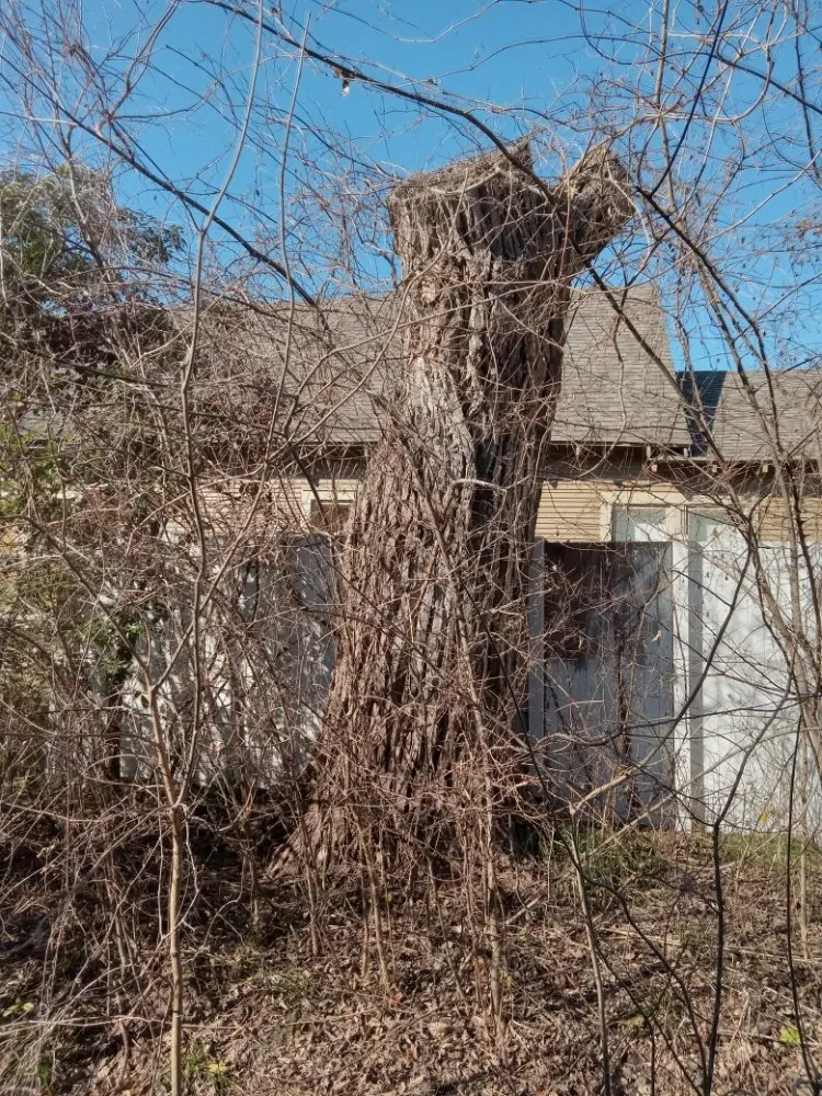 Professional garden landscaping with custom design in Anna, TX by Anna Mowing and Landscapes