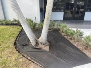 Local yard cleanup service experts serving Kent, WA - Annabella Chacon Landscaping