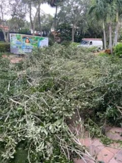 Trusted landscape design in Kent, WA - Annabella Chacon Landscaping