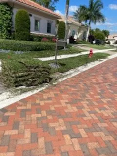 Custom yard maintenance in Kent, WA by Annabella Chacon Landscaping