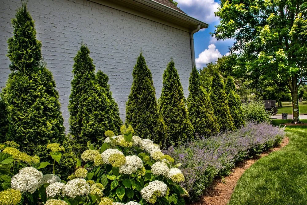 Trusted garden landscaping for year-round maintenance in Lewisburg, TN by Annabelle Landscapes