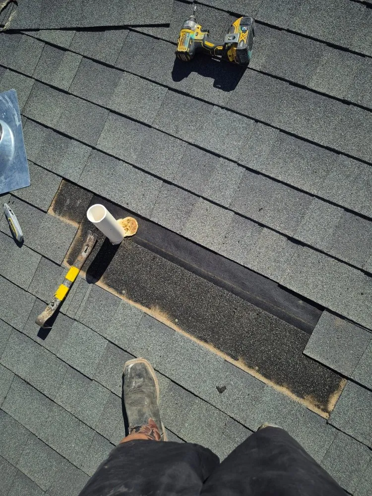 Expert lawn mowing service experts serving Alamogordo, NM - Annalisakings construction