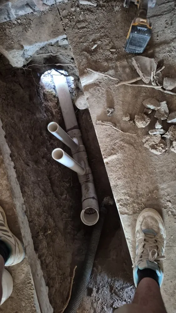 Top-rated lawn care service in Alamogordo, NM - Annalisakings construction