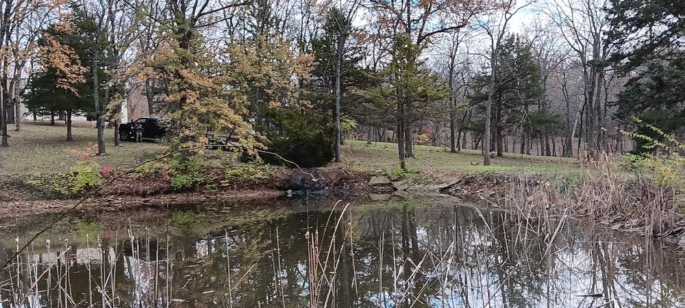 Top-rated lawn mowing service for year-round maintenance in Blue Springs, MO by AnnaMarie's Lawn Care Services