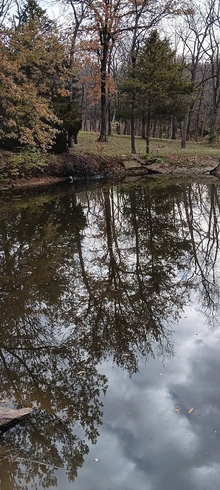 Custom landscape design in Blue Springs, MO - AnnaMarie's Lawn Care Services