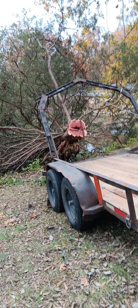 Local yard maintenance experts serving Blue Springs, MO - AnnaMarie's Lawn Care Services