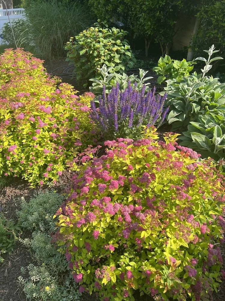 Professional landscape design experts serving Annapolis, MD - Annapolis Landscaping Maintenance