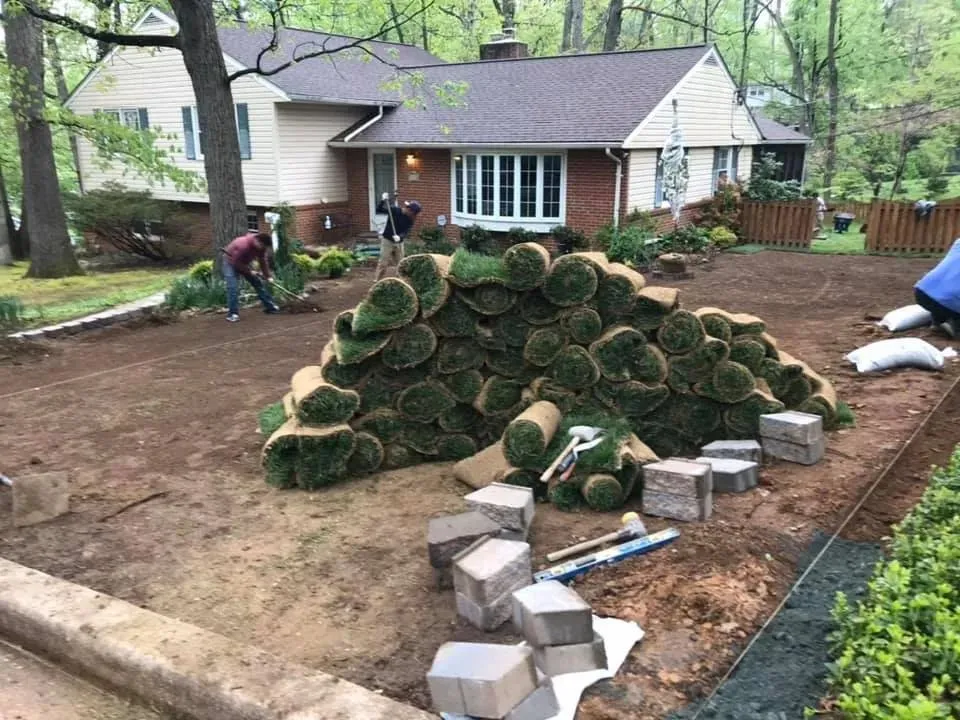 Local yard maintenance for year-round maintenance in Annapolis, MD by Annapolis Landscaping Maintenance