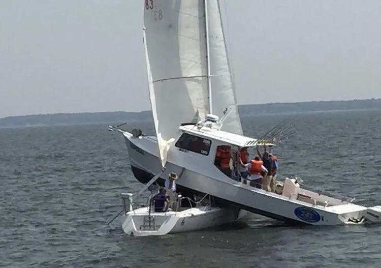 Custom residential landscaping for year-round maintenance across Annapolis, MD - Annapolis Marine Services