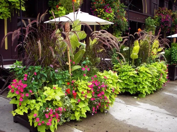 Top-rated outdoor landscaping experts serving Chicago, IL - Anne Roberts Gardens