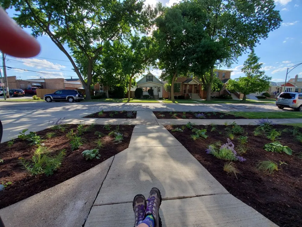 Reliable residential landscaping in Chicago, IL - Anne Roberts Gardens