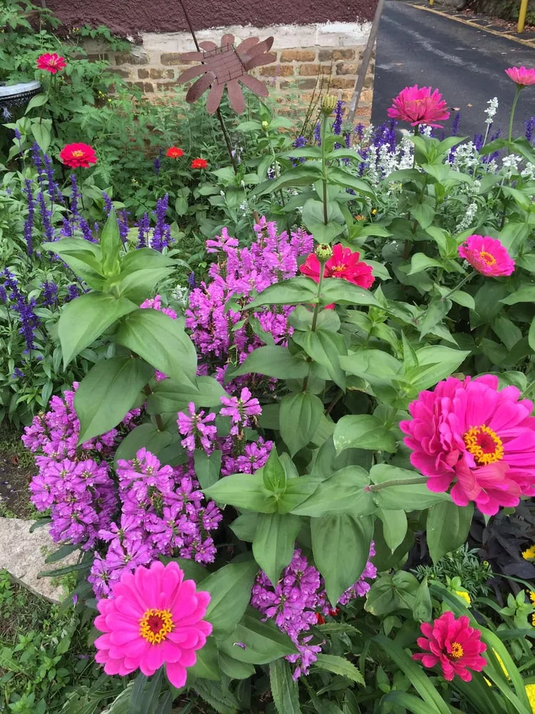 Professional yard maintenance in Chicago, IL by Anne Roberts Gardens