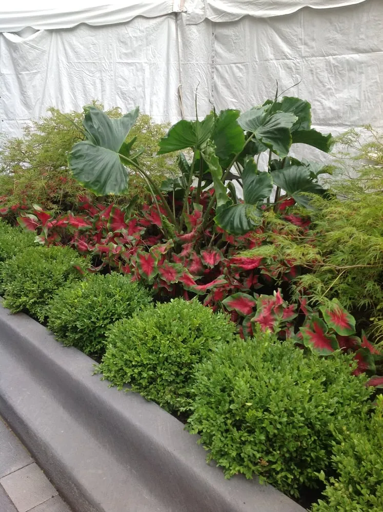 Expert yard cleanup service near you across Chicago, IL - Anne Roberts Gardens