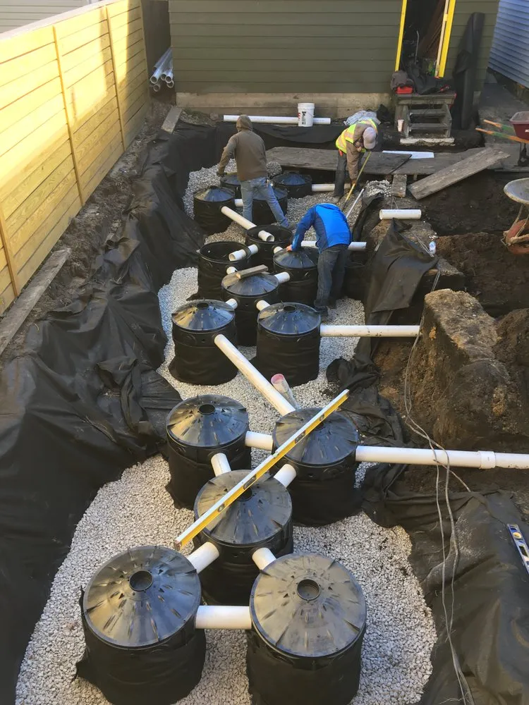 Top-rated lawn care service in Chicago, IL - Anne Roberts Gardens