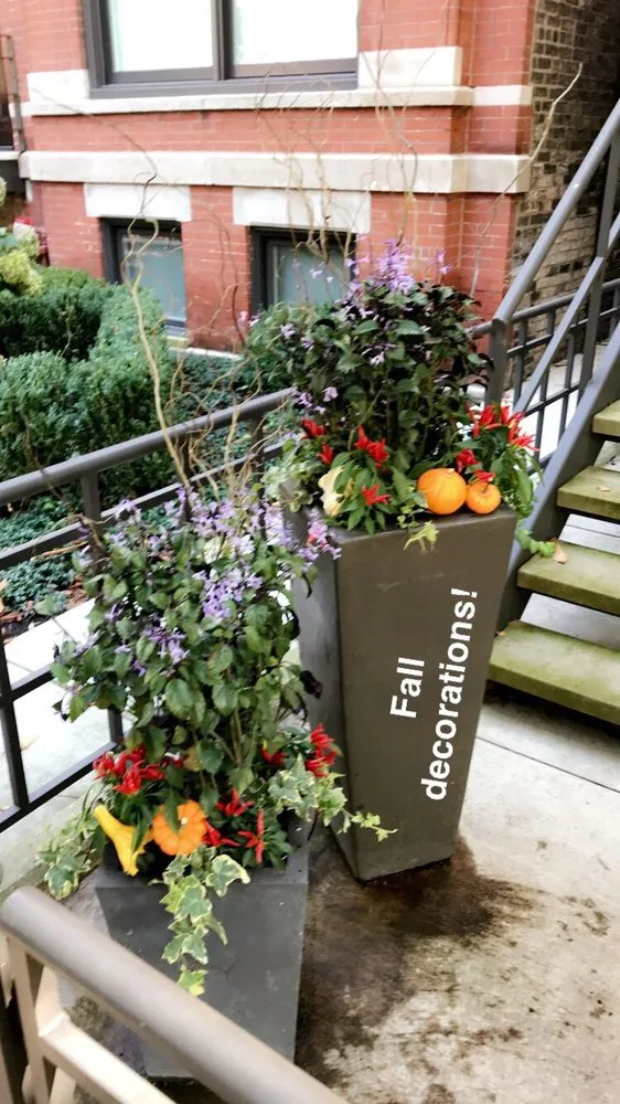 Reliable landscape installation for homes across Chicago, IL - Anne Roberts Gardens