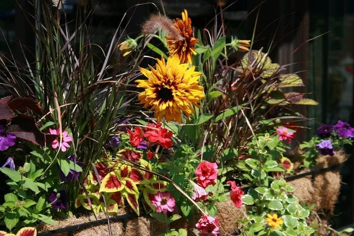 Reliable landscape design experts serving Chicago, IL - Anne Roberts Gardens