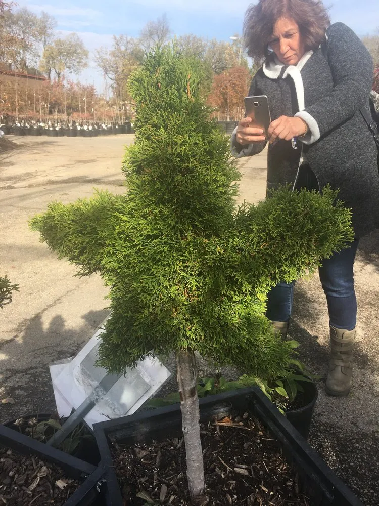 Top-rated lawn mowing service in Dixon, IL by Anne's Garden Center