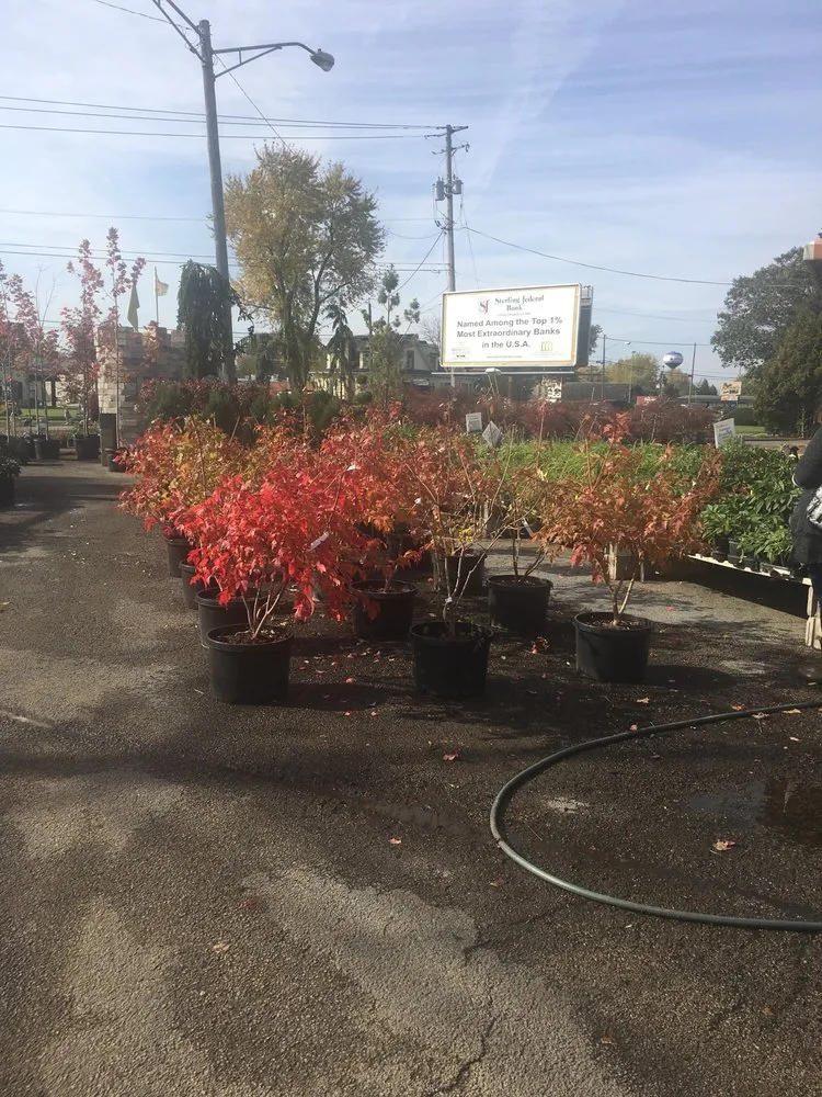 Custom lawn mowing service with custom design in Dixon, IL by Anne's Garden Center