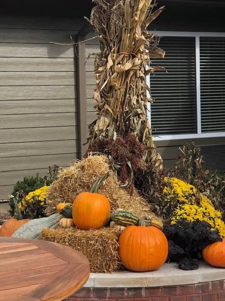 Affordable lawn care service in Waterford, MI by Annie's Garden Designs