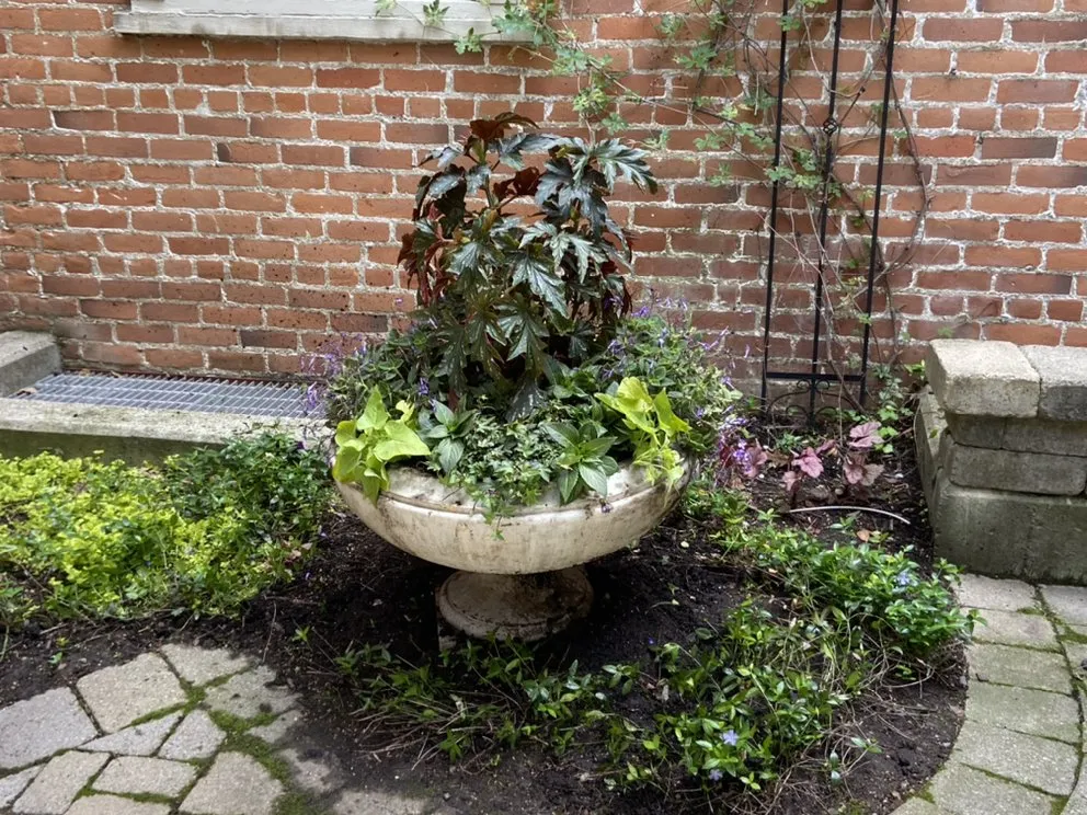 Professional lawn mowing service experts serving Waterford, MI - Annie's Garden Designs