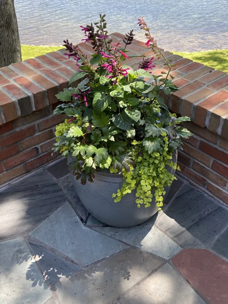 Professional outdoor landscaping for homes across Waterford, MI - Annie's Garden Designs