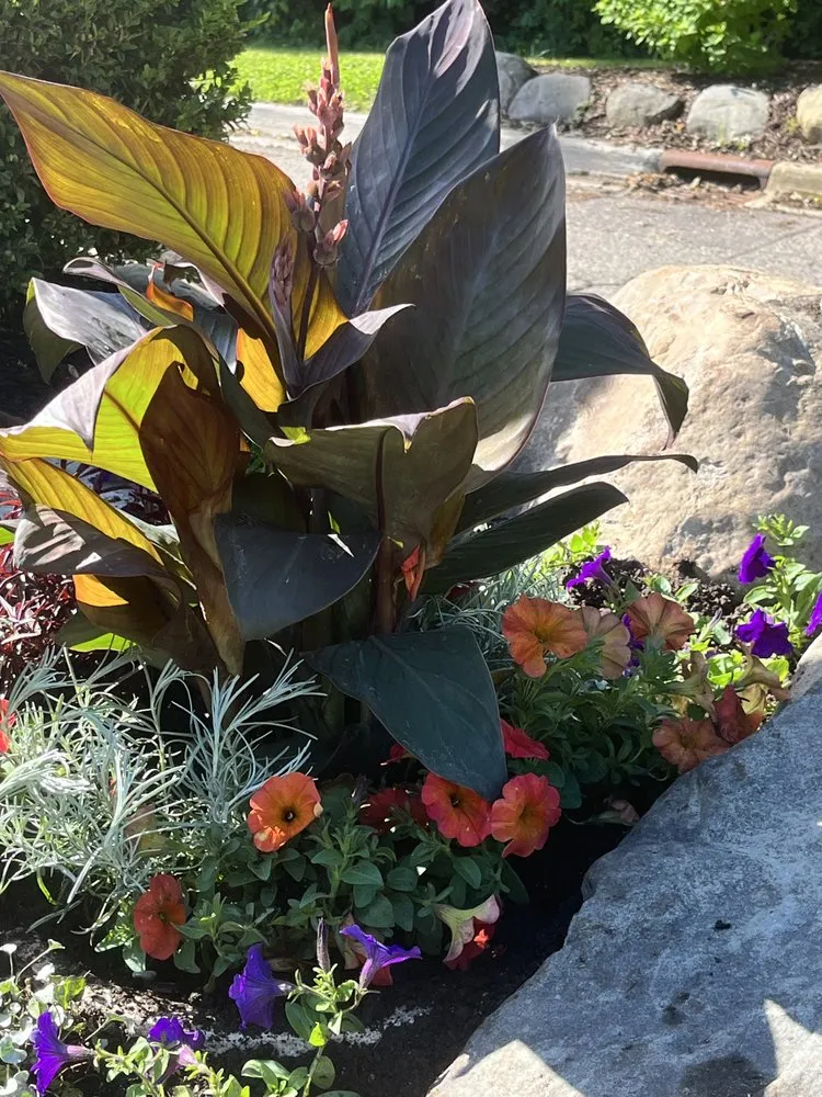 Affordable yard maintenance near you across Waterford, MI - Annie's Garden Designs