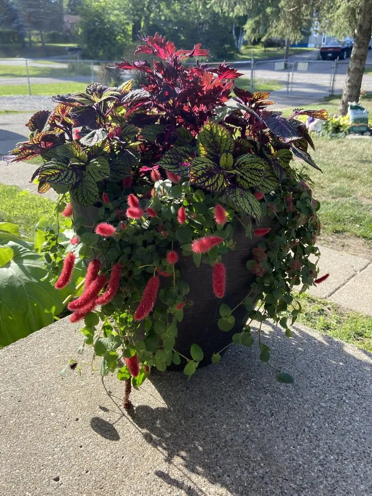 Trusted residential landscaping experts serving Waterford, MI - Annie's Garden Designs