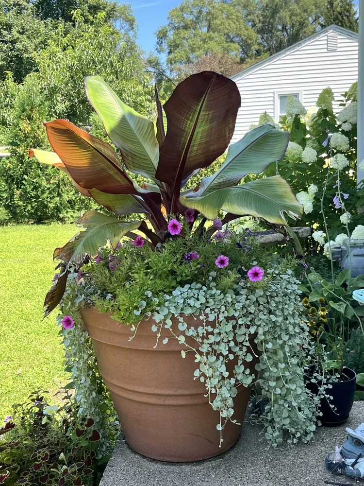 Local lawn care service in Waterford, MI by Annie's Garden Designs