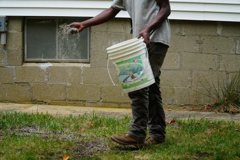 Top-rated outdoor landscaping with custom design in Gloucester, MA by Annisquam Landcare