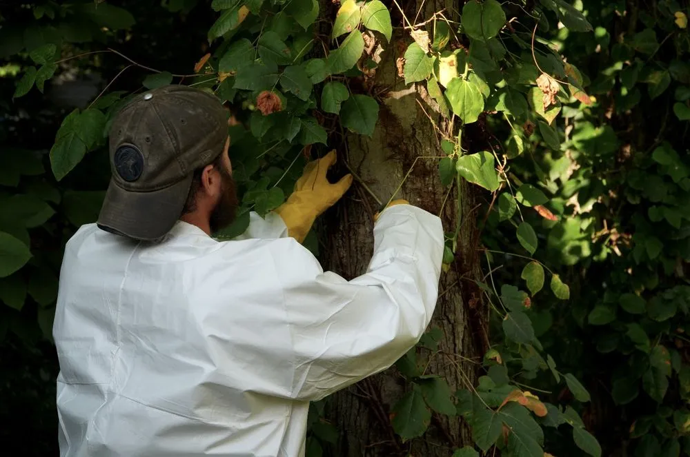 Reliable yard cleanup service for beautiful yards in Gloucester, MA by Annisquam Landcare