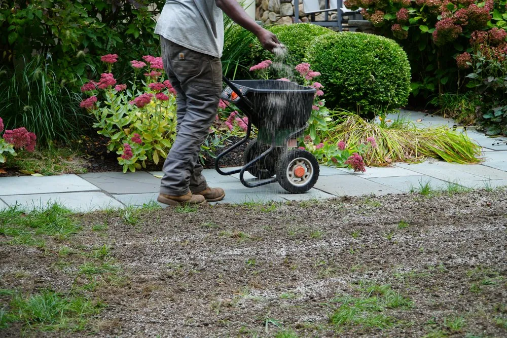 Professional yard maintenance in Gloucester, MA by Annisquam Landcare