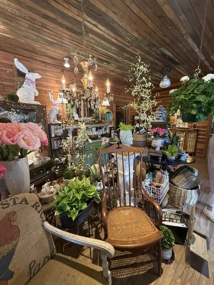 Reliable outdoor landscaping in Albany, GA by Ann’s Garden Shop