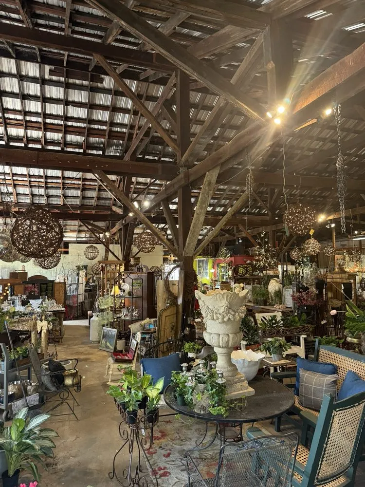 Top-rated landscape installation experts serving Albany, GA - Ann’s Garden Shop