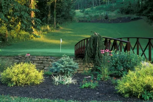 Annual Lawn and Landscapes