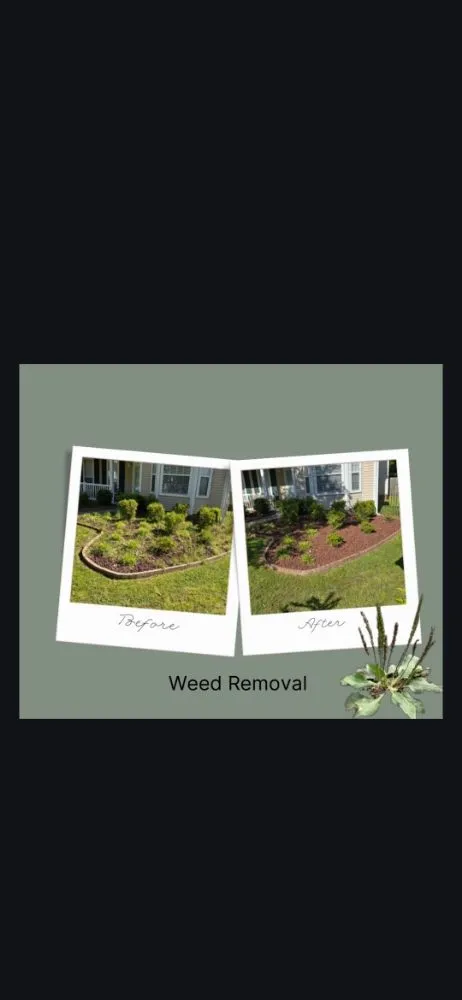 Reliable residential landscaping for residential properties across Summerville, SC - Anocetos Lawn Care