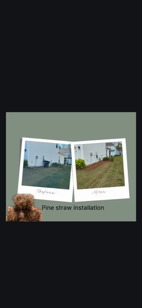 Custom yard cleanup service with custom design in Summerville, SC by Anocetos Lawn Care