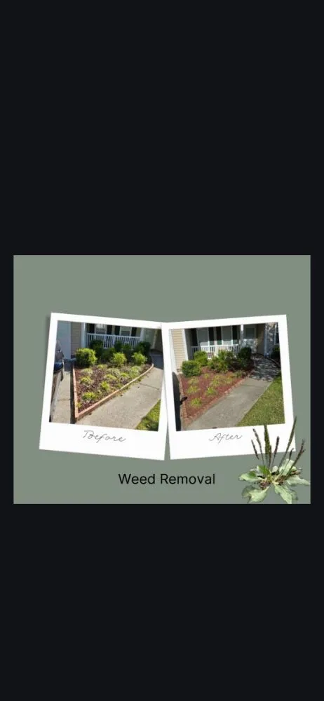 Expert landscape installation in Summerville, SC by Anocetos Lawn Care