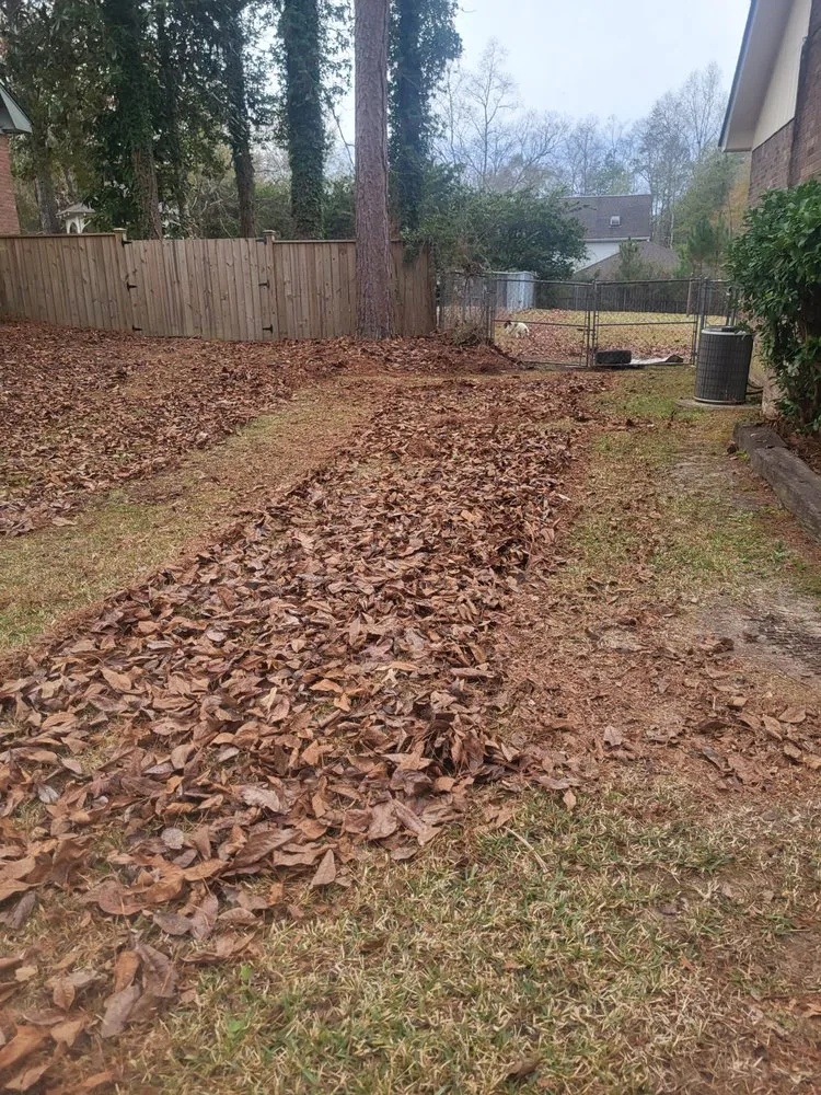 Top-rated lawn care service in Sumrall, MS by Anointed Hands Lawn Care