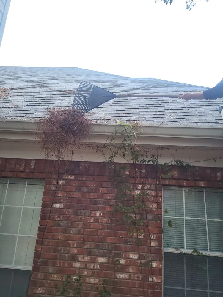 Reliable yard cleanup service experts serving Sumrall, MS - Anointed Hands Lawn Care