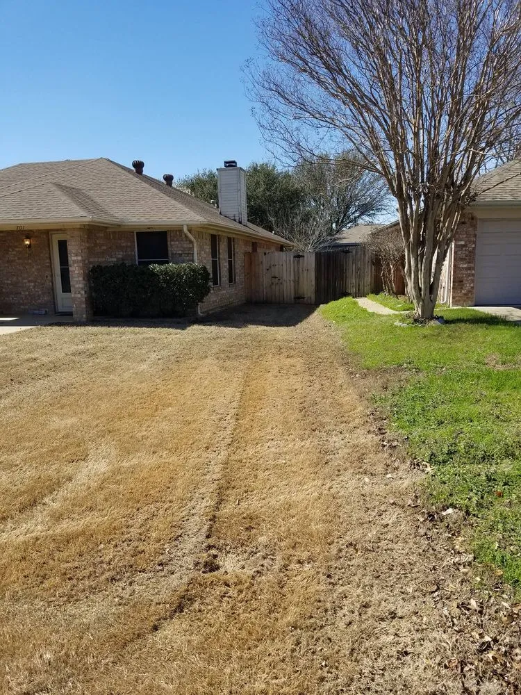 Reliable lawn care service experts serving Newark, TX - Anointed Lawncare The Weed Killers