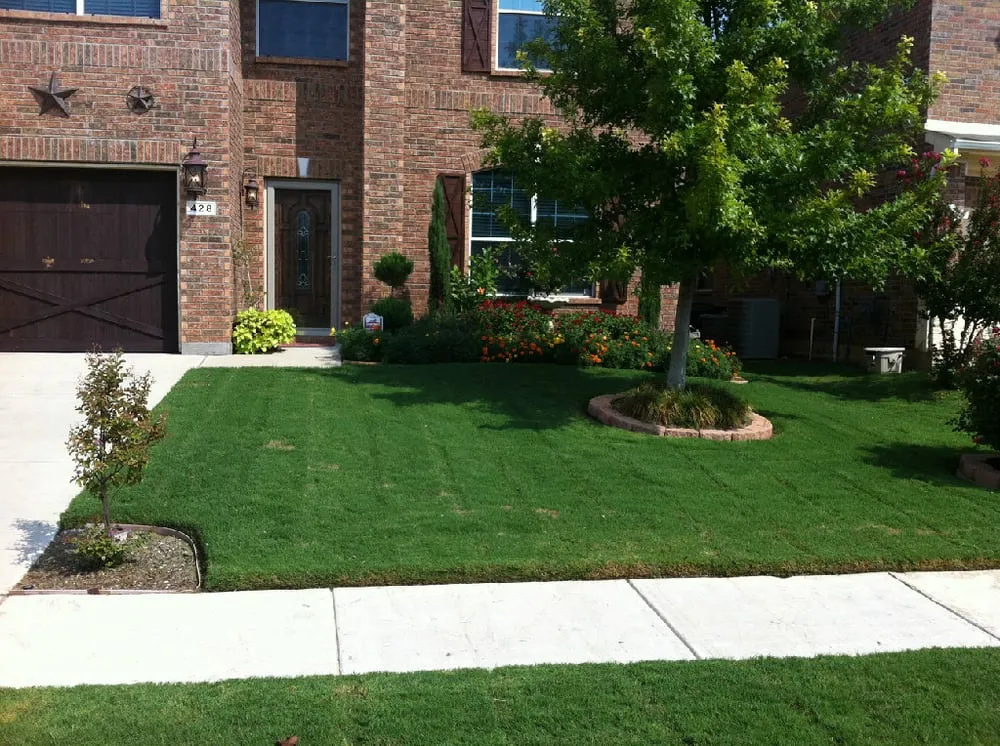 Professional yard cleanup service in Newark, TX - Anointed Lawncare The Weed Killers