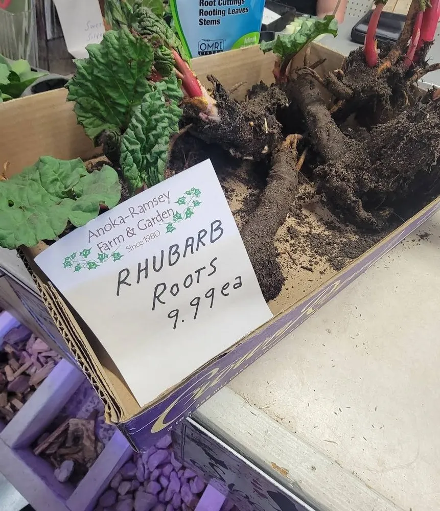 Trusted outdoor landscaping experts serving Anoka, MN - Anoka Ramsey Farm and Garden