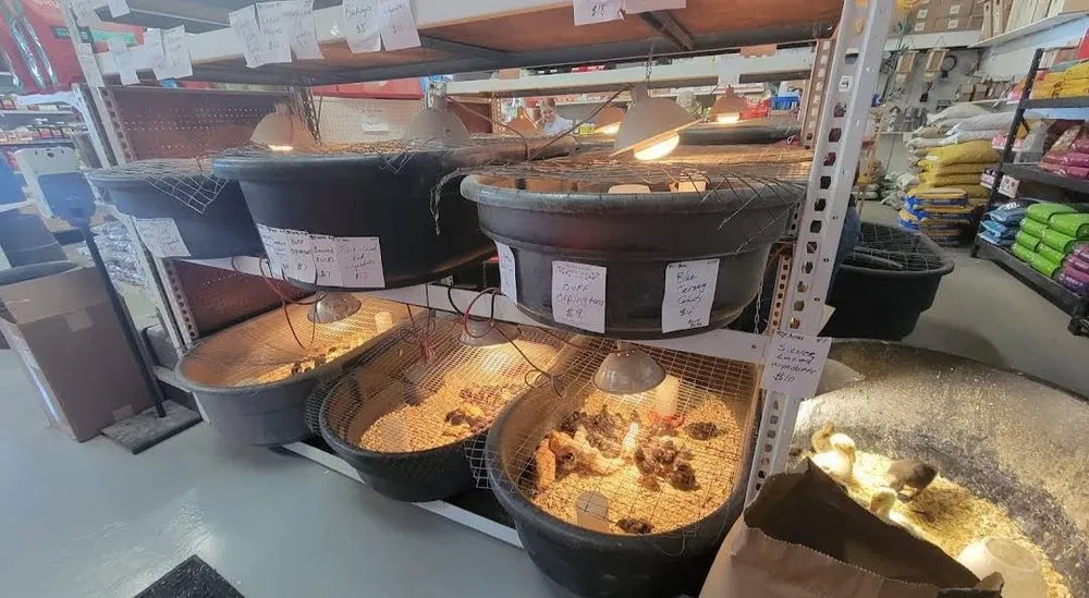 Reliable residential landscaping for outdoor upgrades across Anoka, MN - Anoka Ramsey Farm and Garden