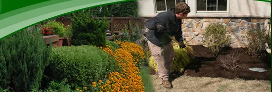 Expert lawn mowing service near you in Anoka, MN by Anoka Ramsey Farm and Garden