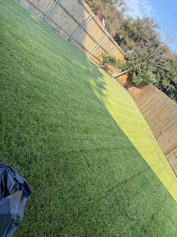 Reliable yard cleanup service in Metairie, LA by Anonymous Landscape