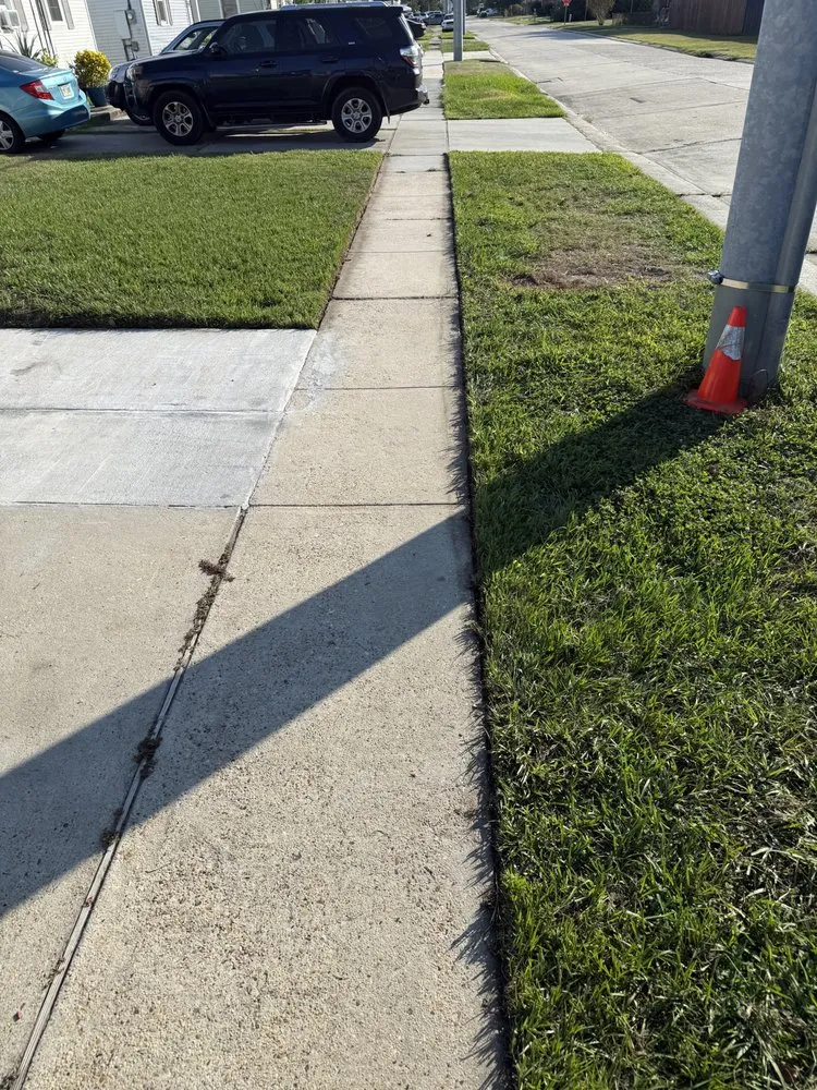 Trusted landscape design for beautiful yards in Metairie, LA by Anonymous Landscape