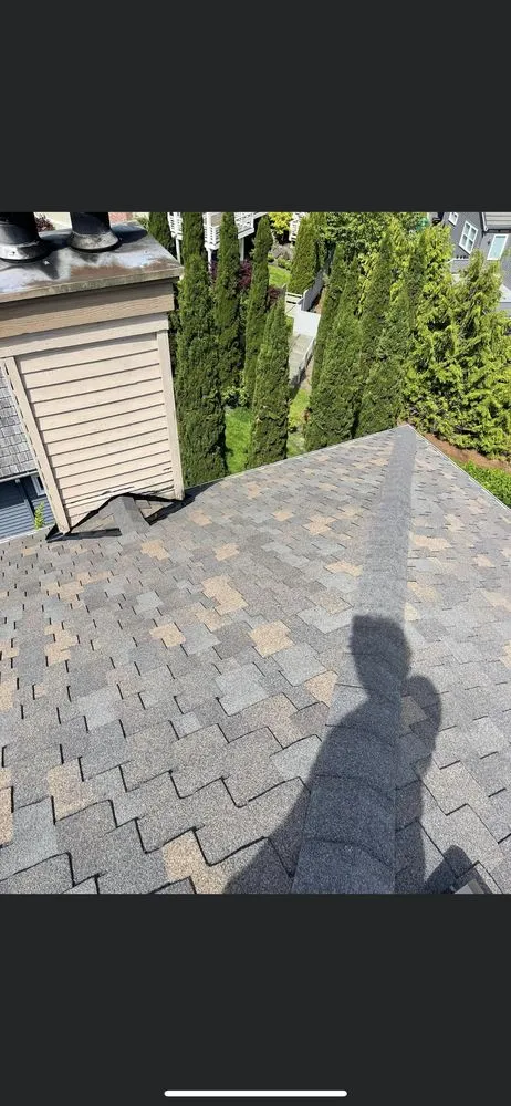 Top-rated yard cleanup service in Auburn, WA - Anorve Landscape Services